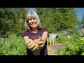 Find Your Retirement Place in a Sun Community Home