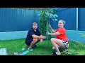 Download Lagu ВЛОГ Кошка ободрала все деревья ! Лёша наконец то ИСКУПАЛСЯ в Черном море ! Купили Алисе зонтик ☂️! 