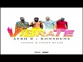 Afro B, Konshens, Stadic, Jonny Blaze - Vibrate