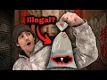 I Visited Illegal Aquarium Stores in New York City