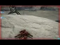 Warframe - Index bugged after host migration