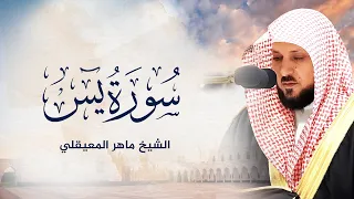                                           سورة يس    الشيخ ماهر المعيقلي دندنها