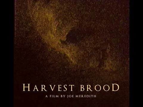 HARVEST BROOD - Trailer