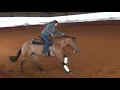 Chics Revolutions - Sold to California