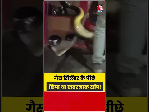 घर में सांप निकलते ही बच्चों में फैली दहशत, VIDEO वायरल | #SnakeVideo #Viral #Shorts #SnakeRescue