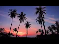 Summer Days - Martin Garrix (Lyrics Video) feat. Macklemore & Patrick Stump