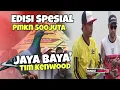 Download Lagu Jost 🔥 Aksi Jaya Baya' kenwood 500jt Mobil Fortuner....Bawahnya Gila‼️