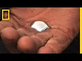 What is Mercury Poisoning National Geographic
