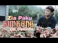 Download Lagu Lagu Lampung Top BIMBANG cover Zia Paku cipt. Erwinardho @ziapaku9132