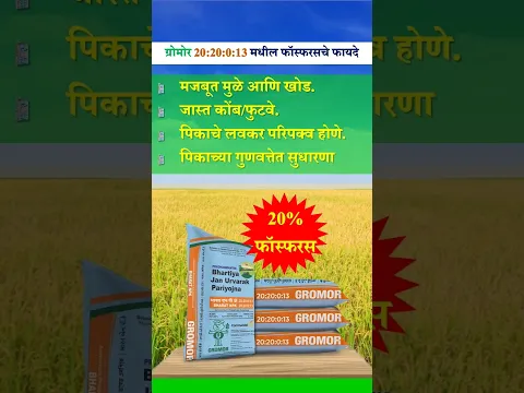 या रब्बी हंगामात ग्रोमोर 20:20:0:13 सोबत योग्य पोषक तत्त्वे आणि अधिक उत्पादन