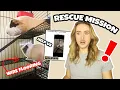 RESCUING TWO GUINEA PIGS FROM CRAIGSLIST