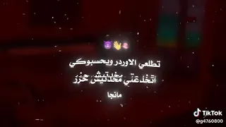 مهرجان عاملة متربية في بيت ابوكي مصطفى الجن وهادي الصغير  دندنها