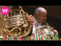 Download Lagu Tchaikovsky - Symphony No. 4 in F minor, Op. 36 (Mariinsky Theatre Orchestra, Valery Gergiev) MP3
