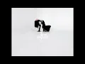 Instrumental – Trauma Olympics - James the Seventh - (No Vocals)