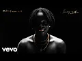 Fireboy DML - need me Visualizer