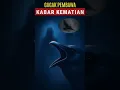 Download Lagu Burung Gagak Pembawa kabar Kematian❓😰 #MitosBurung #CeritaMisteri #BurungGagak #shorts