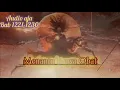 Download Lagu Novel menantu dewa obat bab 1221-1230