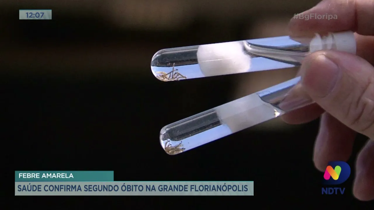 Febre amarela: saúde confirma segundo óbito na Grande Florianópolis