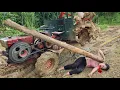Download Lagu Agricultural vehicles carrying timber, skills in loading timber onto vehicles