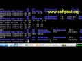 How to rename a file or directory in Bash