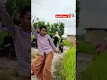 Download Lagu hasilnya tonton di tik tok dullo sampang 2