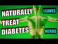 Download Lagu 10 POWERFUL Leaves and Herbs to Treat Diabetes | NATURALLY TREAT DIABETES