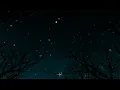 WEGZ - AMIRA (SLOW+REVERB)ويجز-أميرة
