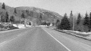 Neil Young & The Chrome Hearts - I'll Love You Forever (Official Visualizer)