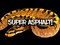 The Super Asphalt Ball Python