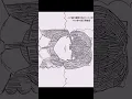 Download Lagu Hand-drawn Hatsune Miku “Go Go Ghost Ship” #HatsuneMiku #Yonezu Kenshi #HandDrawn