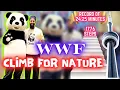 WWF CN TOWER Climb World Record My 1st Outdoor Event in