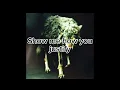 Set It Off - Wolf in sheep's clothing [reborn] Lyrics