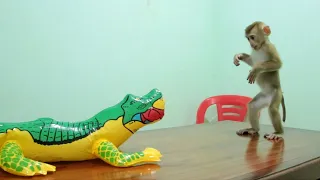 Amzing Little Liziqi Stunning Alligators, Does It Real!!