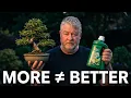 The Truth About Bonsai Fertilizer Do You Get This Wrong