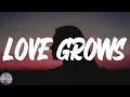 Download Lagu Edison Lighthouse - Love Grows (Where My Rosemary Goes) (Lyric Video)