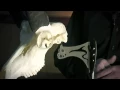 Skull Hooker Instructional