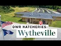 Wytheville Fish Hatchery