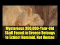 Download Lagu Mysterious 300,000-Year-Old Skull Found in Greece Belongs to Extinct Hominid, Not Human