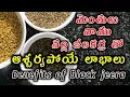 Lagu Ayurvedic Miracle | Black Jeera | Menthulu | Uses of | Benefits of | Black jeera | Vanu | Mentulu
