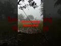Download Lagu Suasana kampung di pagi hari || Suara jangkrik kodok dan ayam || nyaman sekali