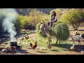 Download Lagu Village Life In Iran: Amazing Cooking \u0026 Donkey Riding \u0026 Tandoori Bread