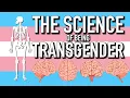 Download Lagu The Science of Being Transgender