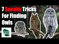Download Lagu 7 Trik Licik untuk Menemukan Burung Hantu di Alam Liar