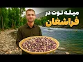 Download Lagu ابریشم - لذیذ ترین توت در سبز ترین قریه افغانستان
