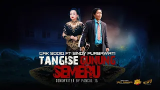 cak sodiq new monata ft sindy purbawati tangise gunung semeru lyric video