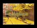 Skyla Tylaa & JAZZWRLD - Vele Uyena (Ft. Thukuthela, Elaine & Solaariss) (Risk it all)