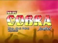 Download Lagu New Cobra - Tembang Tresno (Live Malang)