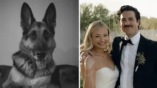 I lost my dog 2 days before my wedding