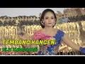 Download Lagu SILVI KUMALASARI - TEMBANG KANGEN - DANDANGGULO