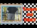NEW TARGET BRAND WILD FABLE TRY-ON HAUL REVIEW straight and plus size review